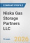 Niska Gas Storage Partners LLC Fundamental Company Report Including Financial, SWOT, Competitors and Industry Analysis - Product Thumbnail Image