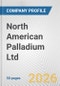 North American Palladium Ltd. Fundamental Company Report Including Financial, SWOT, Competitors and Industry Analysis - Product Thumbnail Image