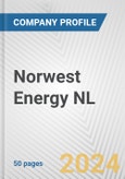 Norwest Energy NL Fundamental Company Report Including Financial, SWOT, Competitors and Industry Analysis- Product Image