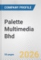 Palette Multimedia Bhd Fundamental Company Report Including Financial, SWOT, Competitors and Industry Analysis - Product Thumbnail Image