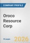 Oroco Resource Corp. Fundamental Company Report Including Financial, SWOT, Competitors and Industry Analysis - Product Thumbnail Image