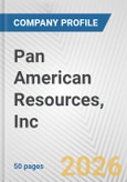 Pan American Resources, Inc. Fundamental Company Report Including Financial, SWOT, Competitors and Industry Analysis- Product Image