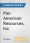 Pan American Resources, Inc. Fundamental Company Report Including Financial, SWOT, Competitors and Industry Analysis - Product Thumbnail Image