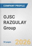 OJSC RAZGULAY Group Fundamental Company Report Including Financial, SWOT, Competitors and Industry Analysis- Product Image