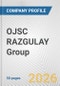 OJSC RAZGULAY Group Fundamental Company Report Including Financial, SWOT, Competitors and Industry Analysis - Product Thumbnail Image