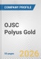 OJSC Polyus Gold Fundamental Company Report Including Financial, SWOT, Competitors and Industry Analysis - Product Thumbnail Image