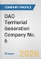 OAO Territorial Generation Company No. 6 Fundamental Company Report Including Financial, SWOT, Competitors and Industry Analysis - Product Thumbnail Image