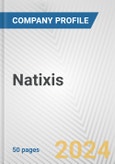 Natixis Fundamental Company Report Including Financial, SWOT, Competitors and Industry Analysis- Product Image