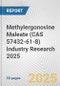 Methylergonovine Maleate (CAS 57432-61-8) Industry Research 2025: Global and Regional Market Trends 2019-2024 and Forecast to 2029 - Product Image
