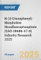 N-(4-Diazophenyl)-Morpholine Hexafluorophosphate (CAS 38686-67-8) Industry Research 2025: Global and Regional Market Trends 2019-2024 and Forecast to 2029 - Product Thumbnail Image