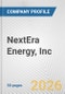 NextEra Energy, Inc. Fundamental Company Report Including Financial, SWOT, Competitors and Industry Analysis - Product Thumbnail Image