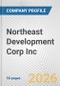 Northeast Development Corp Inc. Fundamental Company Report Including Financial, SWOT, Competitors and Industry Analysis - Product Thumbnail Image
