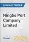 Ningbo Port Company Limited Fundamental Company Report Including Financial, SWOT, Competitors and Industry Analysis - Product Thumbnail Image