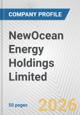 NewOcean Energy Holdings Limited Fundamental Company Report Including Financial, SWOT, Competitors and Industry Analysis- Product Image