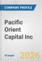 Pacific Orient Capital Inc. Fundamental Company Report Including Financial, SWOT, Competitors and Industry Analysis - Product Thumbnail Image