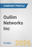 Oullim Networks Inc. Fundamental Company Report Including Financial, SWOT, Competitors and Industry Analysis- Product Image