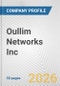 Oullim Networks Inc. Fundamental Company Report Including Financial, SWOT, Competitors and Industry Analysis - Product Thumbnail Image