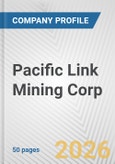 Pacific Link Mining Corp Fundamental Company Report Including Financial, SWOT, Competitors and Industry Analysis- Product Image