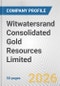 Witwatersrand Consolidated Gold Resources Limited Fundamental Company Report Including Financial, SWOT, Competitors and Industry Analysis - Product Thumbnail Image
