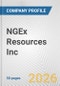 NGEx Resources Inc. Fundamental Company Report Including Financial, SWOT, Competitors and Industry Analysis - Product Thumbnail Image