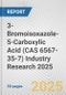 3-Bromoisoxazole-5-Carboxylic Acid (CAS 6567-35-7) Industry Research 2025: Global and Regional Market Trends 2019-2024 and Forecast to 2029 - Product Thumbnail Image