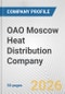 OAO Moscow Heat Distribution Company Fundamental Company Report Including Financial, SWOT, Competitors and Industry Analysis - Product Thumbnail Image