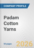 Padam Cotton Yarns Fundamental Company Report Including Financial, SWOT, Competitors and Industry Analysis- Product Image