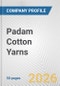 Padam Cotton Yarns Fundamental Company Report Including Financial, SWOT, Competitors and Industry Analysis - Product Thumbnail Image