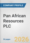Pan African Resources PLC Fundamental Company Report Including Financial, SWOT, Competitors and Industry Analysis- Product Image