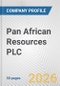 Pan African Resources PLC Fundamental Company Report Including Financial, SWOT, Competitors and Industry Analysis - Product Thumbnail Image
