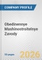 Obedinennye Mashinostroitelnye Zavody Fundamental Company Report Including Financial, SWOT, Competitors and Industry Analysis - Product Thumbnail Image