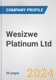 Wesizwe Platinum Ltd. Fundamental Company Report Including Financial, SWOT, Competitors and Industry Analysis- Product Image