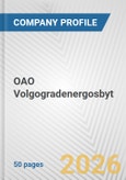 OAO Volgogradenergosbyt Fundamental Company Report Including Financial, SWOT, Competitors and Industry Analysis- Product Image