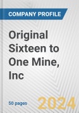Original Sixteen to One Mine, Inc. Fundamental Company Report Including Financial, SWOT, Competitors and Industry Analysis- Product Image