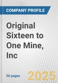 Original Sixteen to One Mine, Inc. Fundamental Company Report Including Financial, SWOT, Competitors and Industry Analysis- Product Image