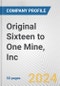 Original Sixteen to One Mine, Inc. Fundamental Company Report Including Financial, SWOT, Competitors and Industry Analysis - Product Thumbnail Image