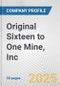 Original Sixteen to One Mine, Inc. Fundamental Company Report Including Financial, SWOT, Competitors and Industry Analysis - Product Thumbnail Image