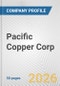 Pacific Copper Corp. Fundamental Company Report Including Financial, SWOT, Competitors and Industry Analysis - Product Thumbnail Image