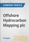 Offshore Hydrocarbon Mapping plc Fundamental Company Report Including Financial, SWOT, Competitors and Industry Analysis - Product Thumbnail Image