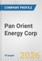 Pan Orient Energy Corp. Fundamental Company Report Including Financial, SWOT, Competitors and Industry Analysis - Product Thumbnail Image