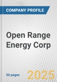 Open Range Energy Corp. Fundamental Company Report Including Financial, SWOT, Competitors and Industry Analysis- Product Image