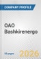 OAO Bashkirenergo Fundamental Company Report Including Financial, SWOT, Competitors and Industry Analysis - Product Thumbnail Image