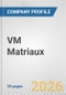 VM Matriaux Fundamental Company Report Including Financial, SWOT, Competitors and Industry Analysis - Product Thumbnail Image