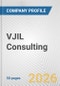 VJIL Consulting Fundamental Company Report Including Financial, SWOT, Competitors and Industry Analysis - Product Thumbnail Image