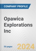 Opawica Explorations Inc. Fundamental Company Report Including Financial, SWOT, Competitors and Industry Analysis- Product Image