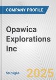 Opawica Explorations Inc. Fundamental Company Report Including Financial, SWOT, Competitors and Industry Analysis- Product Image