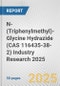 N-(Triphenylmethyl)-Glycine Hydrazide (CAS 116435-38-2) Industry Research 2025: Global and Regional Market Trends 2019-2024 and Forecast to 2029 - Product Thumbnail Image