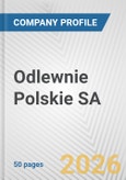 Odlewnie Polskie SA Fundamental Company Report Including Financial, SWOT, Competitors and Industry Analysis- Product Image