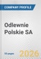 Odlewnie Polskie SA Fundamental Company Report Including Financial, SWOT, Competitors and Industry Analysis - Product Thumbnail Image