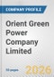 Orient Green Power Company Limited Fundamental Company Report Including Financial, SWOT, Competitors and Industry Analysis - Product Thumbnail Image